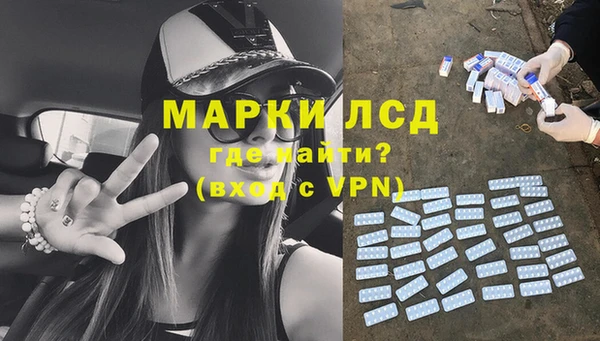PSILOCYBIN Бикин