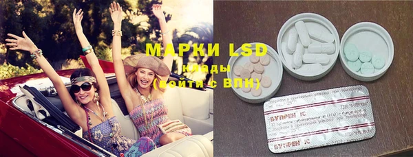 молекула духа Болотное