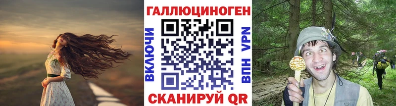 где продают   Кораблино  Псилоцибиновые грибы мухоморы 